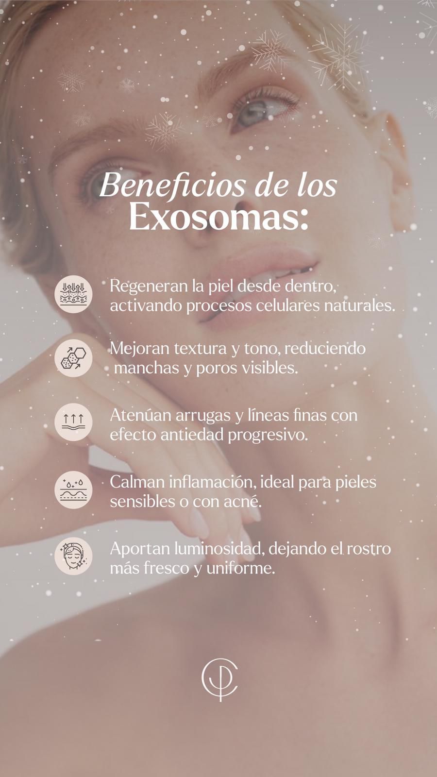 WhatsApp Image 2025-12-09 at 21.49.51